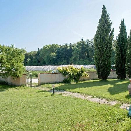 B&B Casa Betulla Pisa Esterno foto
