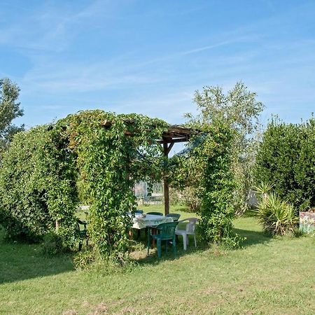 B&B Casa Betulla Pisa Esterno foto
